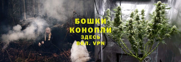 шишки Кукмор